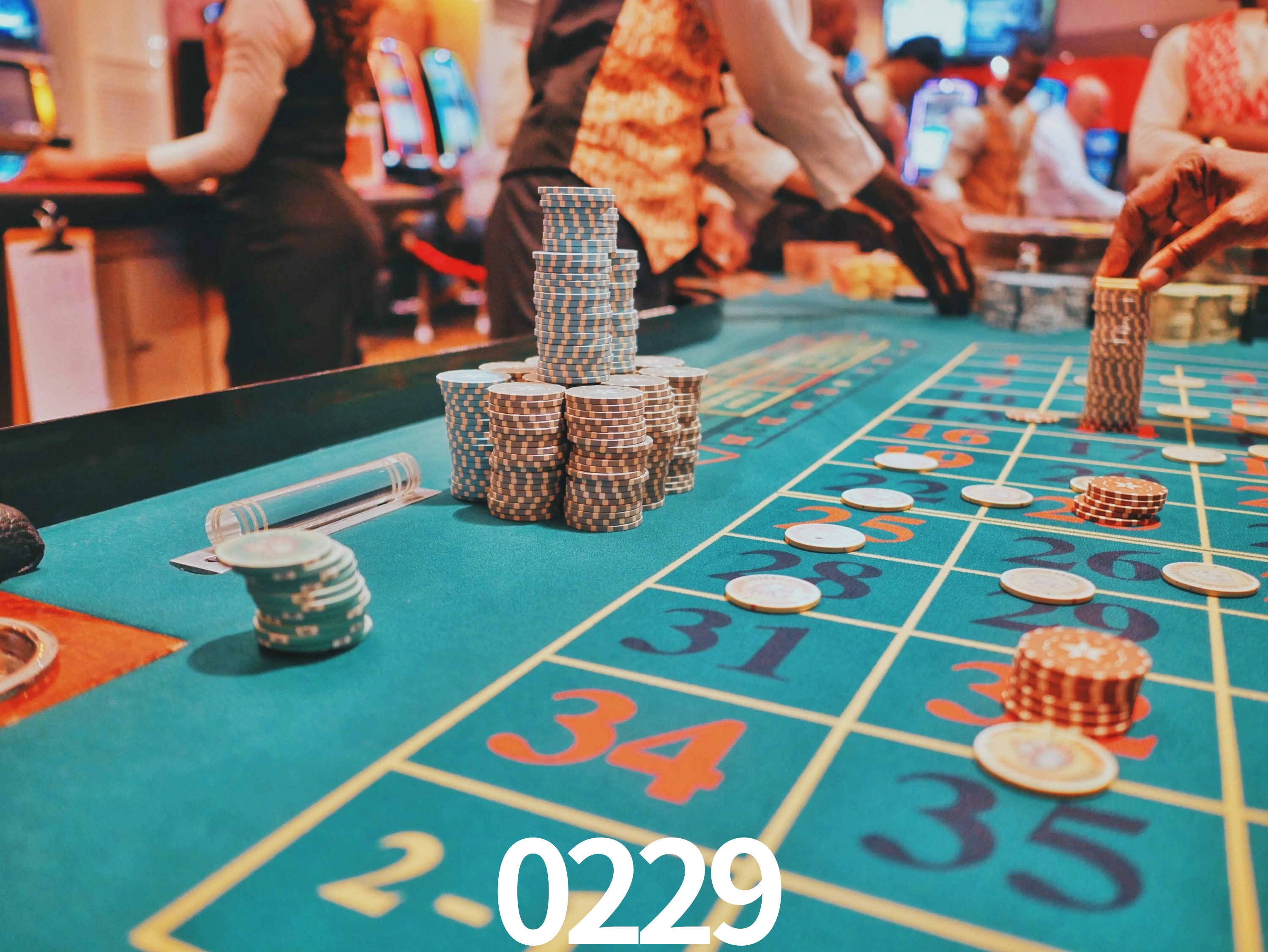 A Emoção da Loteria na 0229: Uma Chance de Mudança de Vida