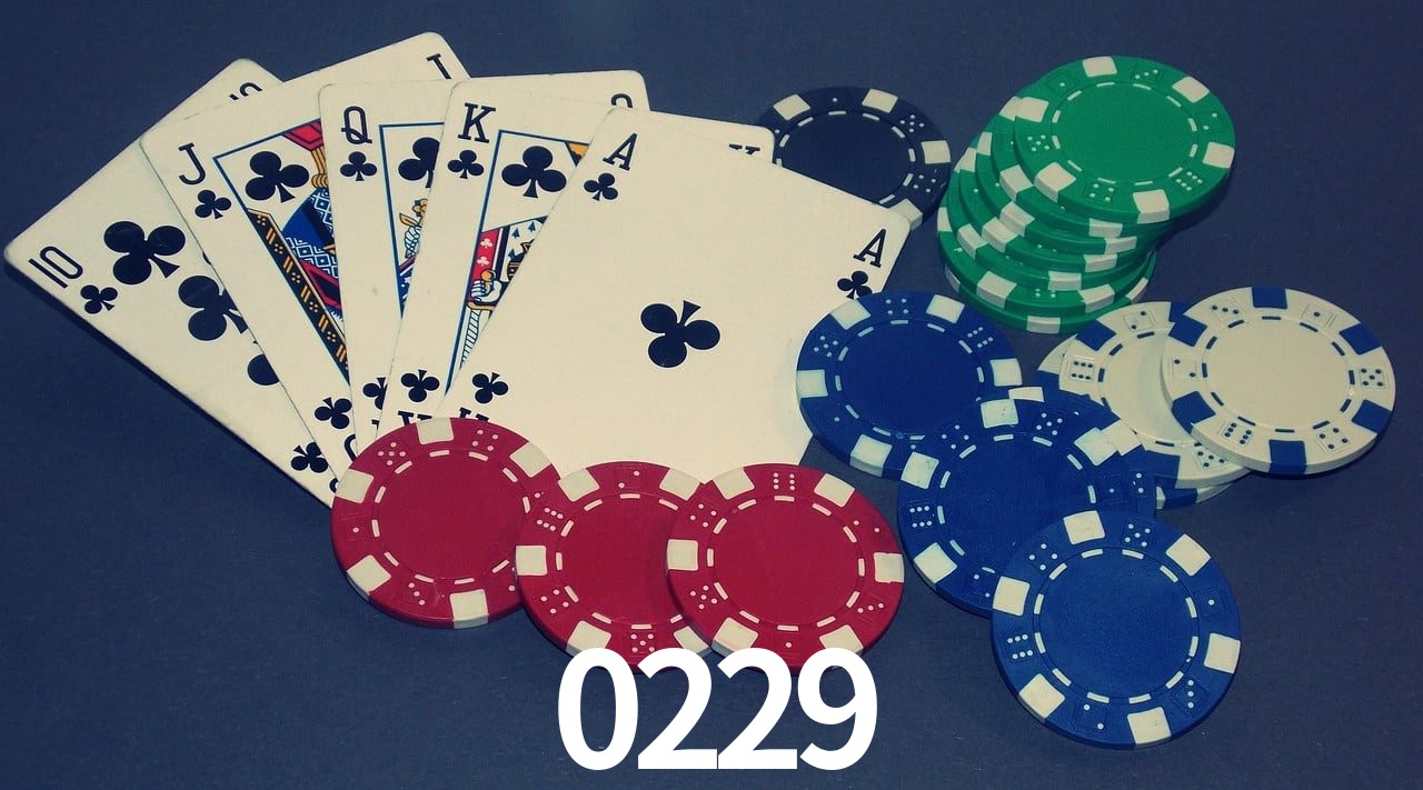 Basketball Betting 0229